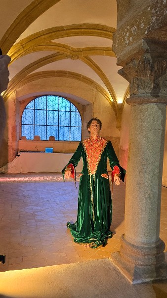 1150 arbres à l'abbaye