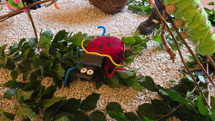 La coccinelle de Franck