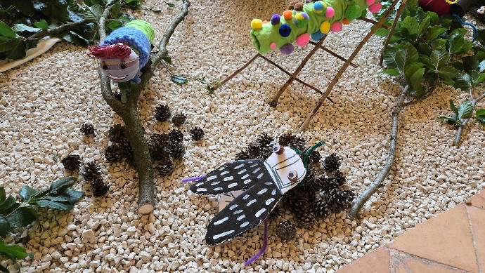 La mouche de Béranger